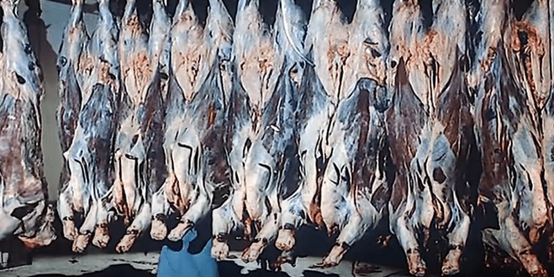 لحوم عيد الأضحى