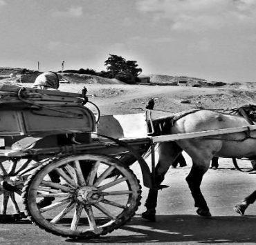 “عمل مسروق ولا يمثل مصر القديمة” كوارث غادة والي مصممة رسومات مترو كلية البنات الحنطور