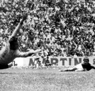 خاصية Twitter Blue … دليلك الكامل لمعرفة تفاصيل اشتراك تويتر الشهري كرة قدم