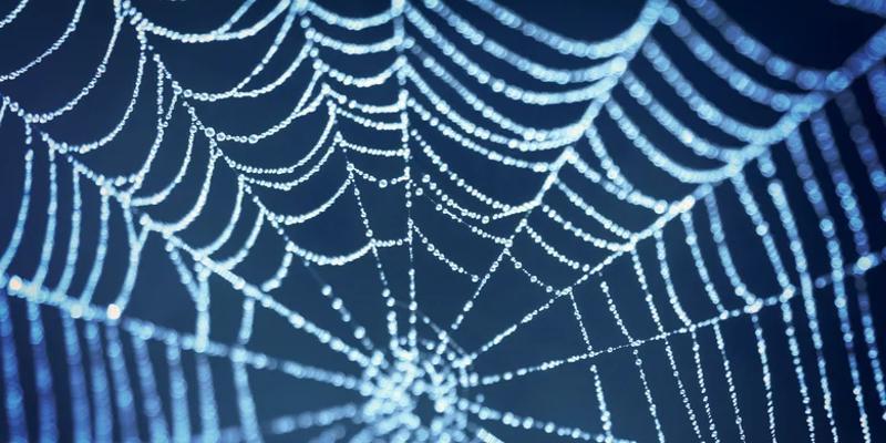 ما هو دور شبك العناكب في الطب البشري على مدار التاريخ؟ العناكب
