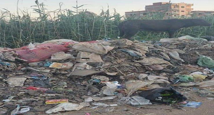 القمامة في قرية ابشواي