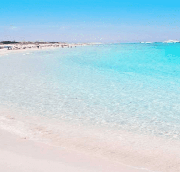 رواية أفراح القبة