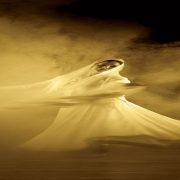 الولاية والمرأة في التصوف