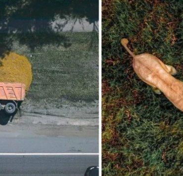 أصبغ شعرك أصفر.. لماذا أصبح رجل واحد لا يكفي؟! صور