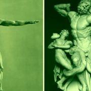 الأعضاء الذكرية