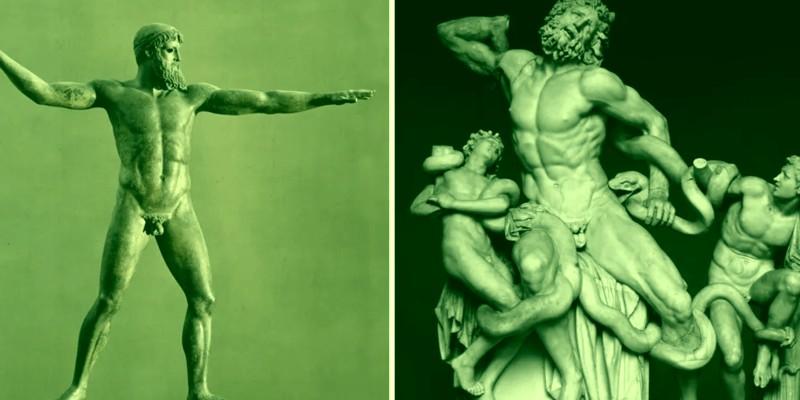 الأعضاء الذكرية