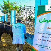 لحوم الأضاحي