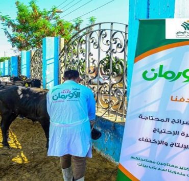 لحوم الأضاحي