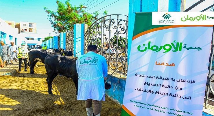 لحوم الأضاحي