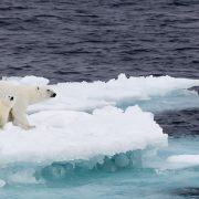 تغير المناخ