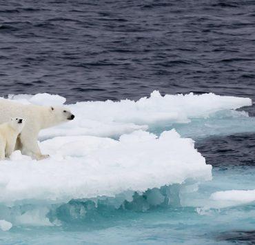 تغير المناخ