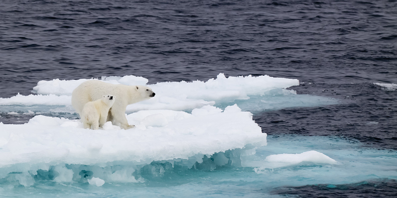 تغير المناخ