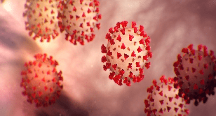 الكورونا