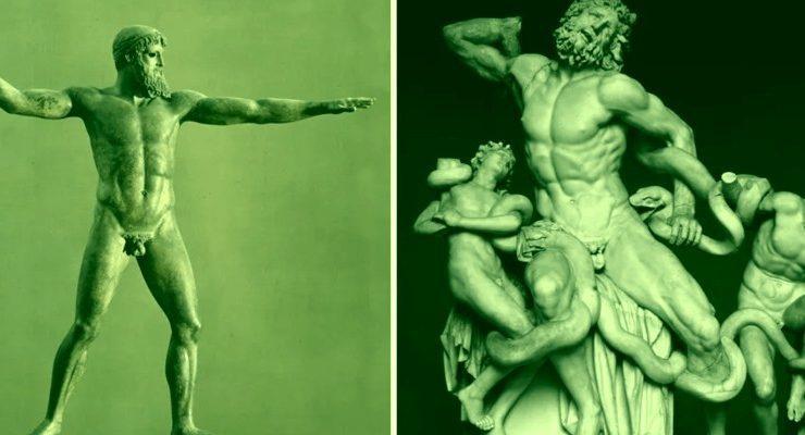 الأعضاء الذكرية