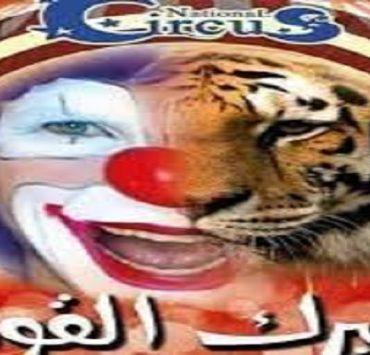 الماتش الماتش