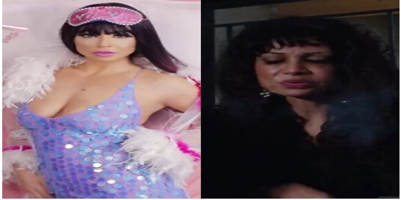 دوللي شاهين