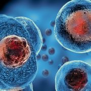 الخلايا الجذعية