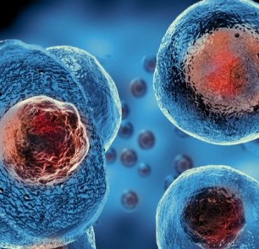 الخلايا الجذعية