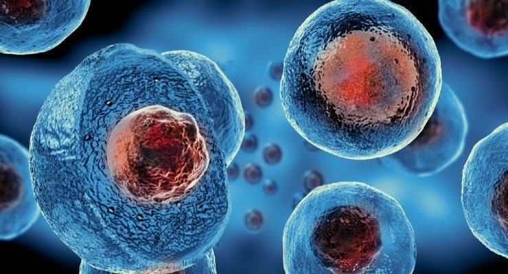 الخلايا الجذعية