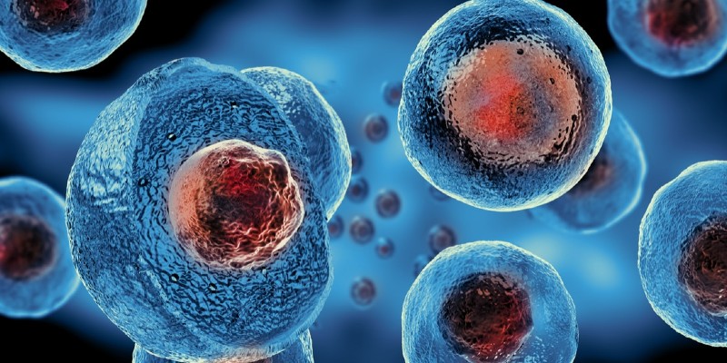 الخلايا الجذعية