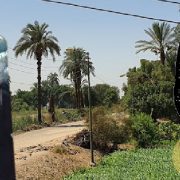 فاطمة زكي الحلواني واللواء غبارة