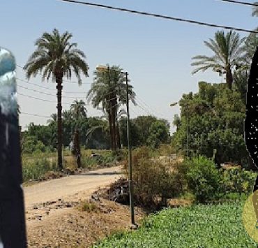 فاطمة زكي الحلواني واللواء غبارة