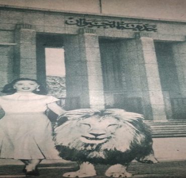 كاميليا - الصورة من أرشيف مجلة الكواكب