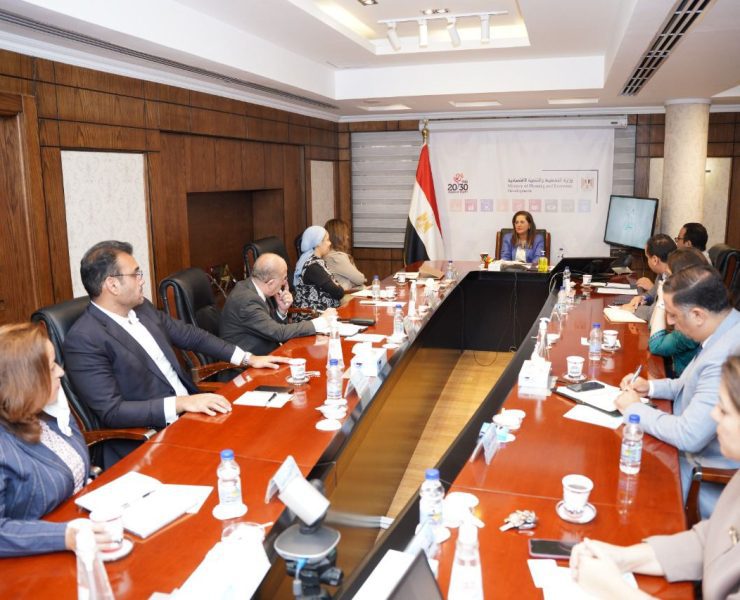 وزيرة التخطيط