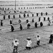 المجاعة الصينية