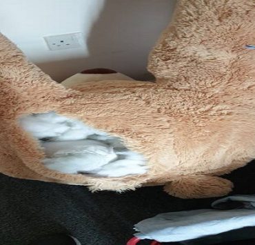 رعد وعواصف وثلوج.. حينما قررت الطبيعة التدخل في بعض الحروب التاريخية المراهق