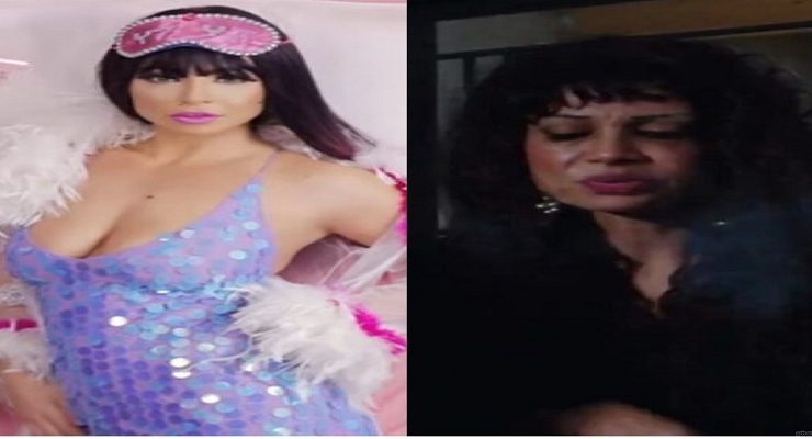 دوللي شاهين