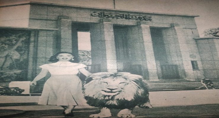 كاميليا - الصورة من أرشيف مجلة الكواكب