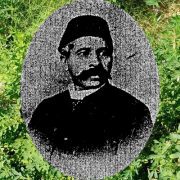 البرسيم في مصر