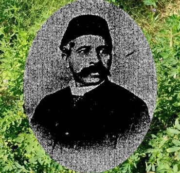 البرسيم في مصر