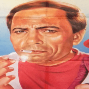 طيور الظلام