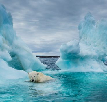 الاحتباس الحراري