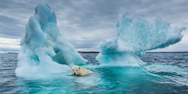 الاحتباس الحراري