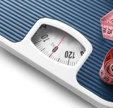 “تاريخ مجالس قراءة قصة المولد النبوي” تفاصيل الطقس الاحتفالي المنسي أثقل إنسان في العالم