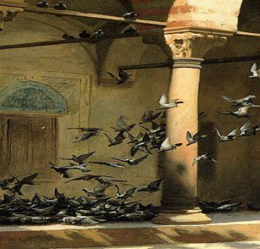 الحمام الزاجل