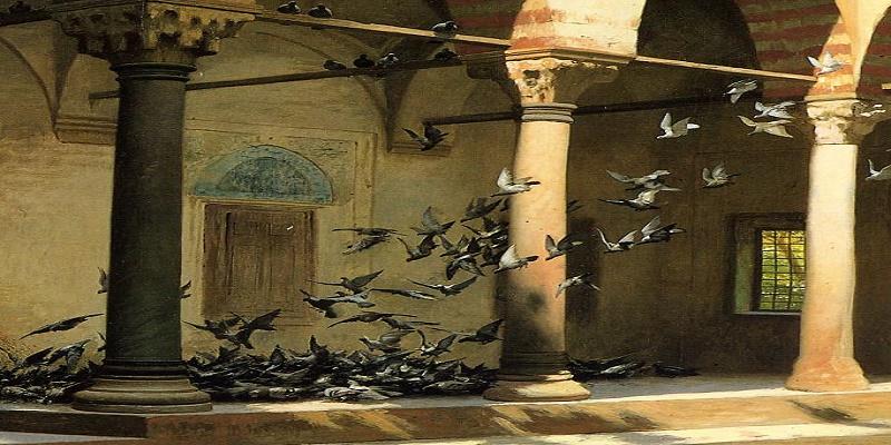 الحمام الزاجل