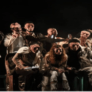 الأهلى التنموى