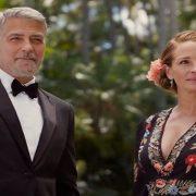 النحلة زينة