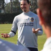 إبراهيموفيتش