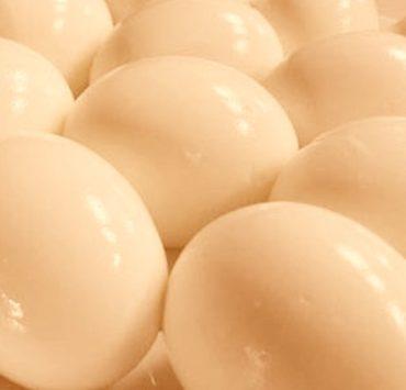 بفلوسي ياكلاب سلق البيض