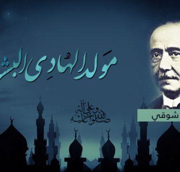 مصطفى عبد السميع صادق