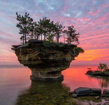 جزيرة اللفت