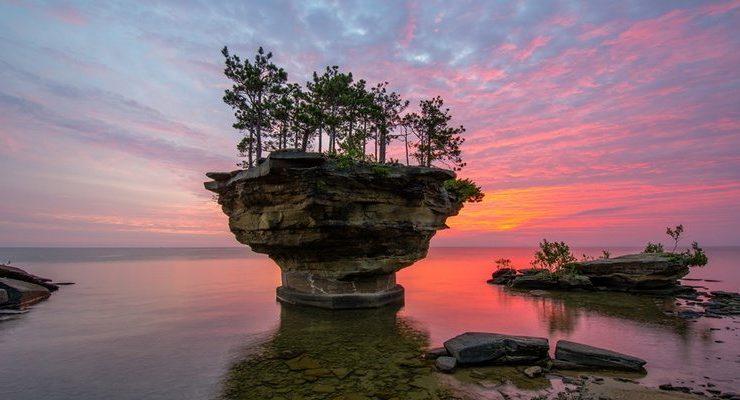 جزيرة اللفت