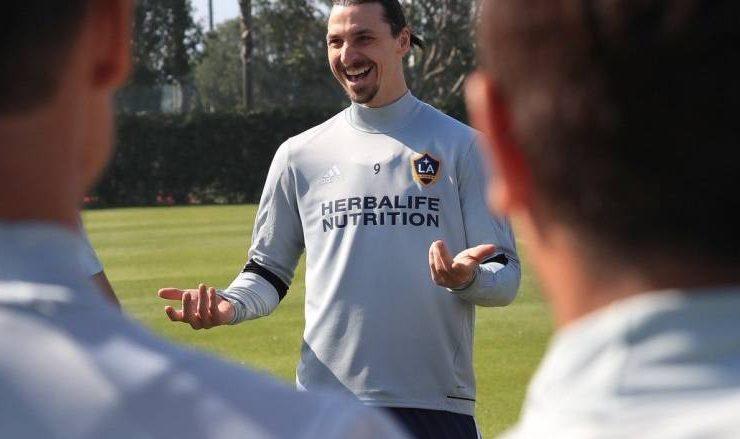 إبراهيموفيتش