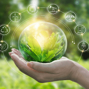 الاقتصاد الأخضر
