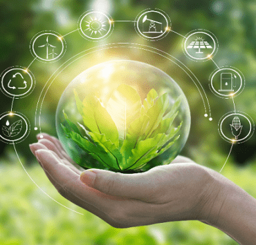 أنواع فرش التنظيف من الأفضل إلى الأسوأ (1) الاقتصاد الأخضر